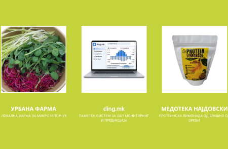 Predicting failures, protein lemonade and microgreens: Macedonian green ideas are travelling to Prizren image